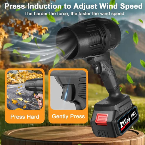 "Jet blower with charger and single battery"